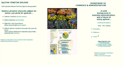 Desktop Screenshot of cad.bilkent.edu.tr